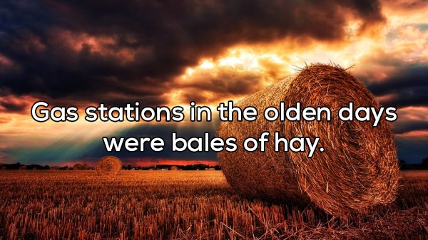 Shower Thoughts (20 pics)