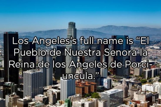 Interesting Facts (20 pics)