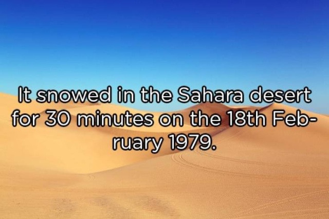 Interesting Facts (20 pics)