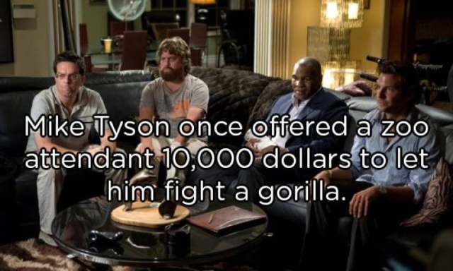 Interesting Facts (20 pics)