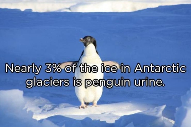 Interesting Facts (20 pics)