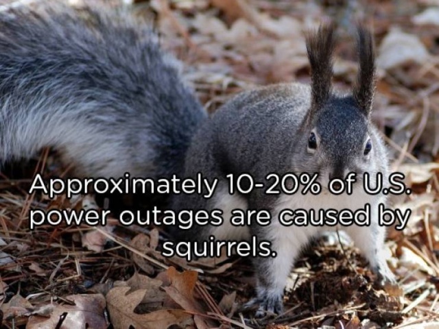 Interesting Facts (20 pics)