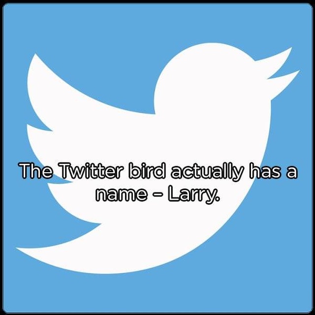 Interesting Facts (20 pics)