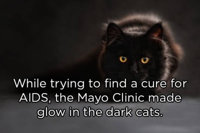 Interesting Facts (20 pics)