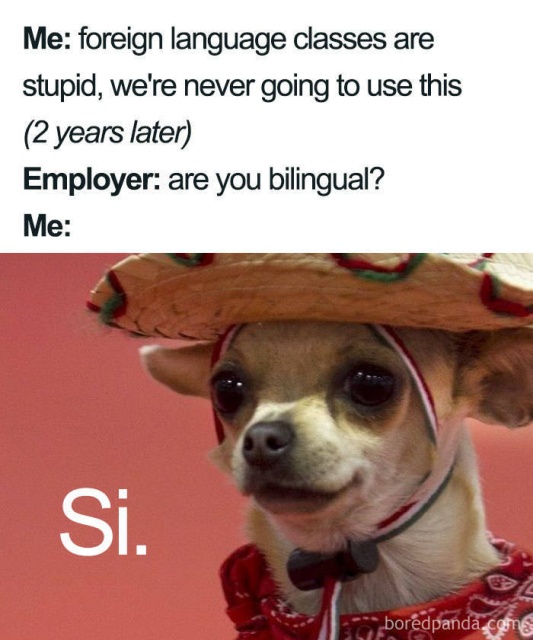 15 In Spanish To English