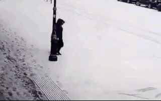 How Stupid Was This? (17 gifs)