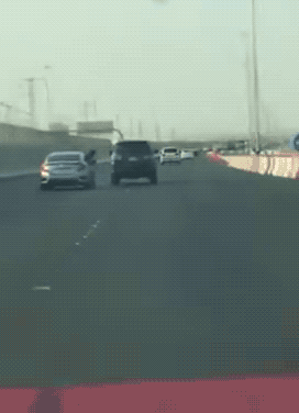 How Stupid Was This? (17 gifs)