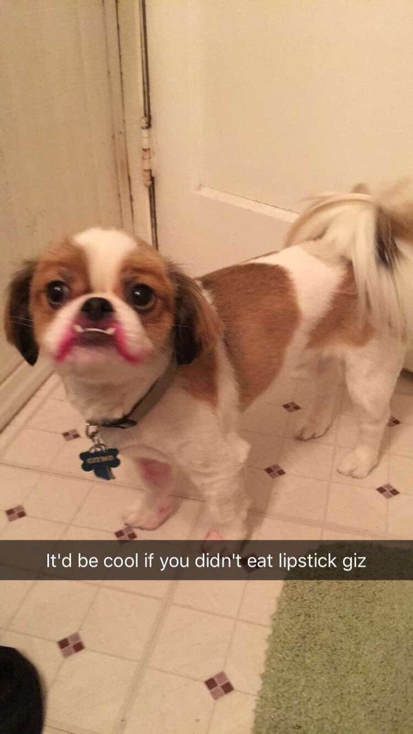 Funny Pictures To Make Your Day (37 pics)
