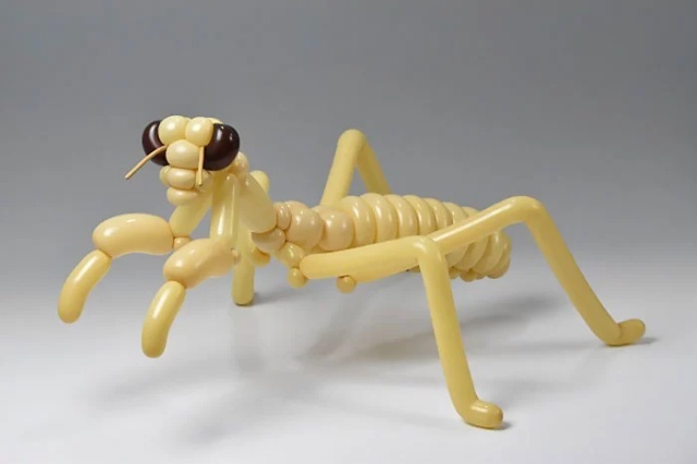 Incredibly Detailed Balloon Sculptures By Japanese Artist Masayoshi Matsumoto (25 pics)