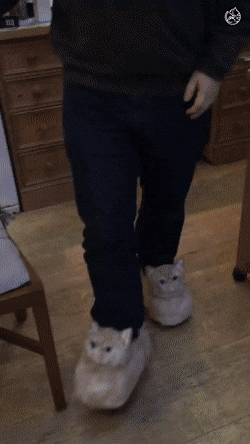 Acid Gifdump, May 24 (25 gifs)