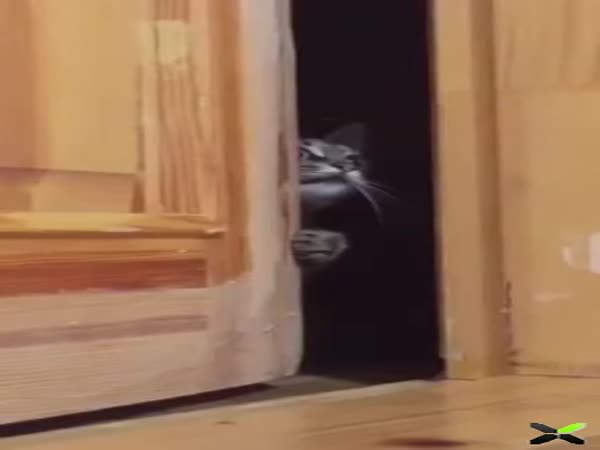 Hey, Who's Yelling?