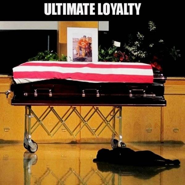 Military Knows How To Motivate (16 pics)