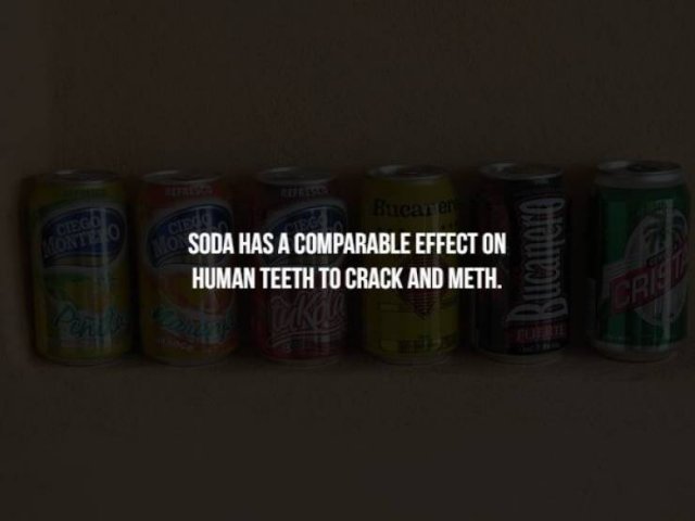 You Don't Want To Know These Facts (15 pics)