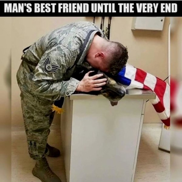 Memorial Day Memes (32 pics)