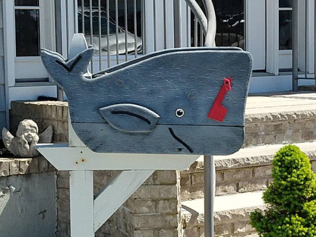 Acid Picdump (96 pics)