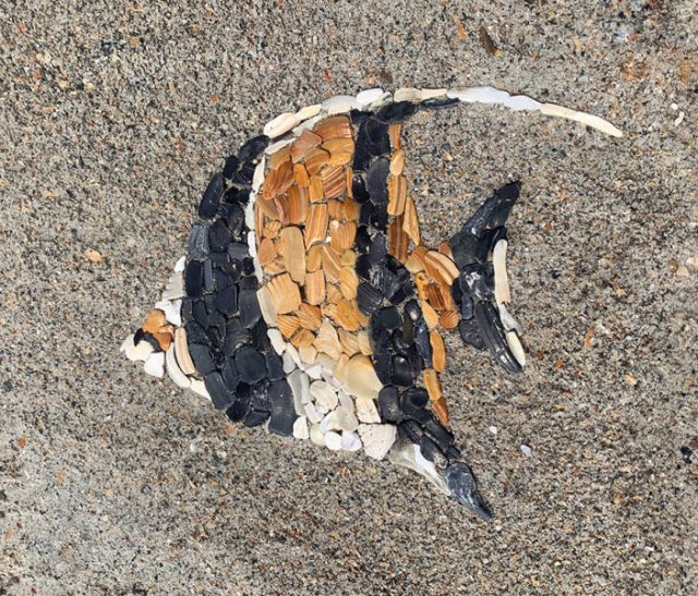 Acid Picdump (96 pics)