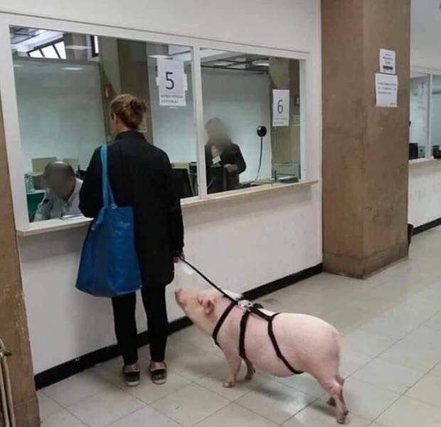 Acid Picdump (96 pics)