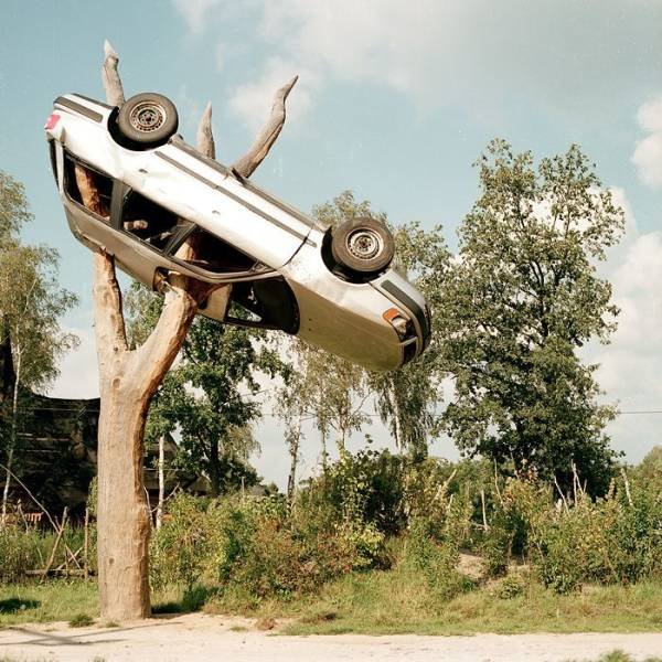 Acid Picdump (96 pics)