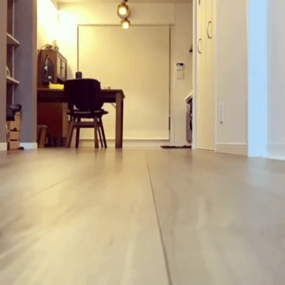 Acid Gifdump, May 28 (25 gifs)