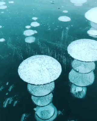 Acid Gifdump, May 28 (25 gifs)
