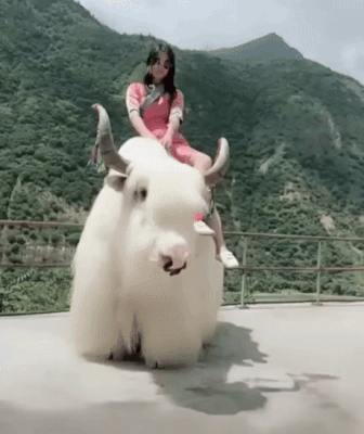 Acid Gifdump, May 28 (25 gifs)