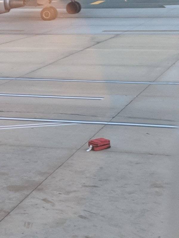We Hate Something Like This (33 pics)