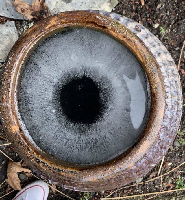 What You See Does Not Exist (25 pics)
