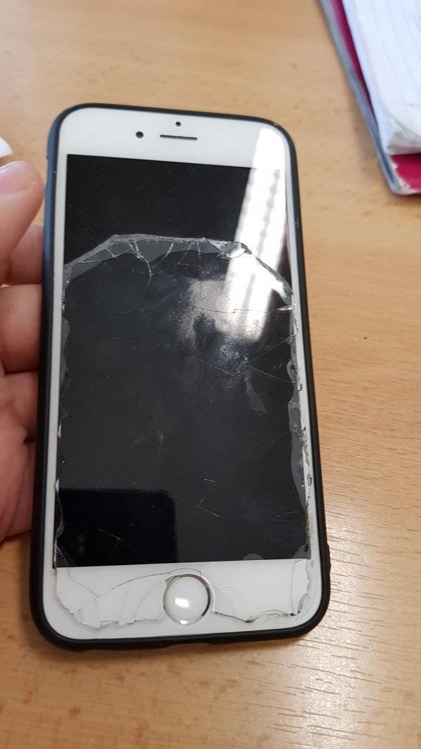 We Hate Something Like This (33 pics)