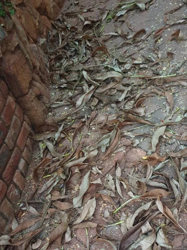 We Hate Something Like This (33 pics)