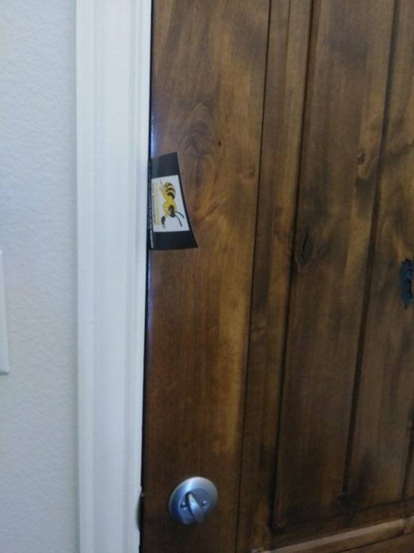 We Hate Something Like This (33 pics)