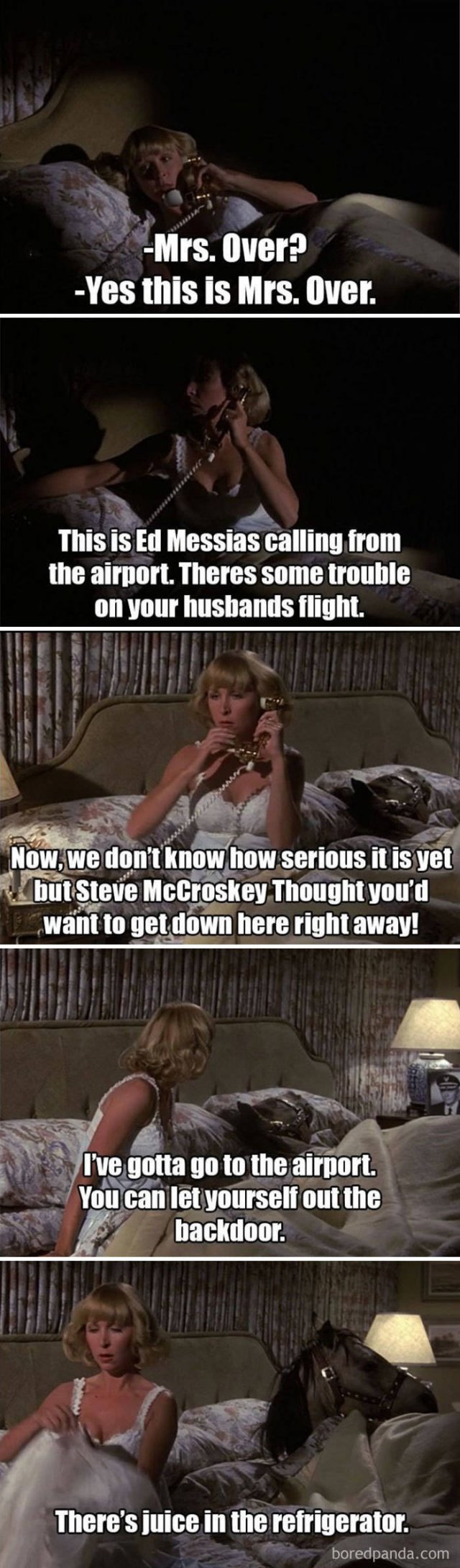 Facts About "Airplane" (32 pics)
