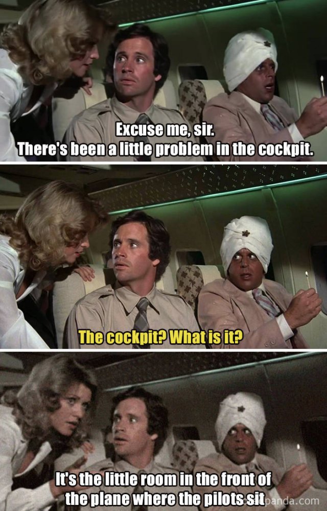 Facts About "Airplane" (32 pics)