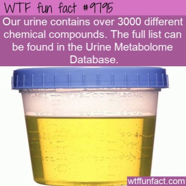 Interesting Facts (40 pics)