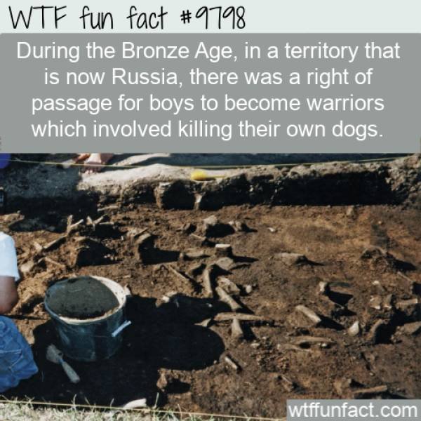 Interesting Facts (40 pics)