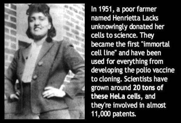 Interesting Facts (40 pics)