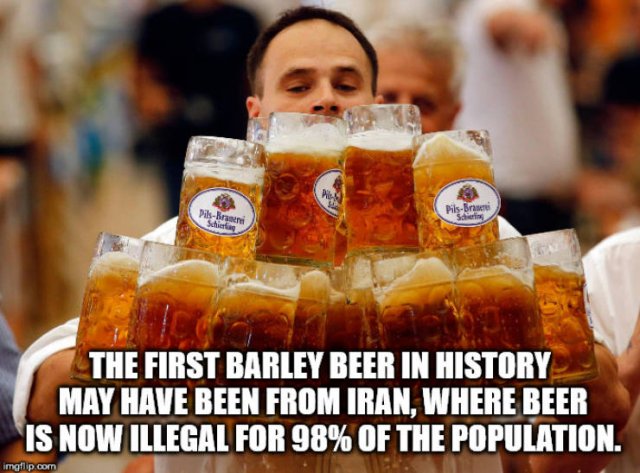 Interesting Facts (40 pics)