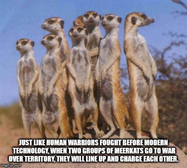 Interesting Facts (40 pics)