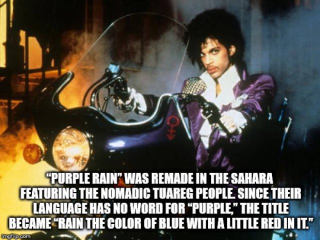 Interesting Facts (40 pics)