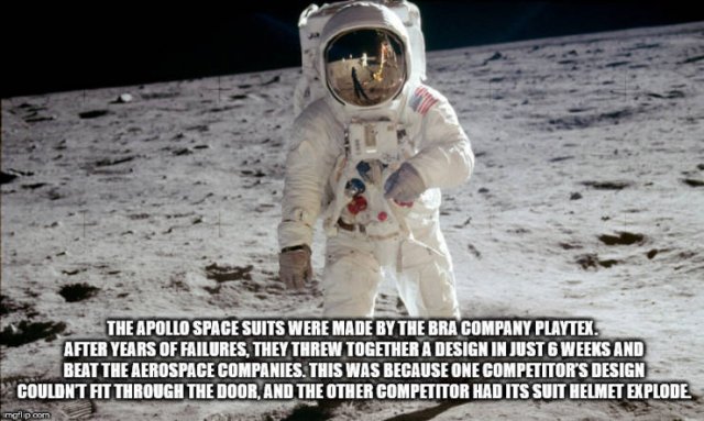 Interesting Facts (40 pics)