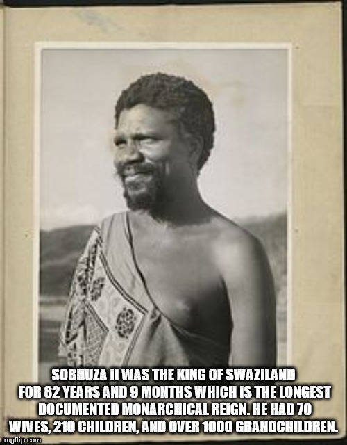 Interesting Facts (40 pics)
