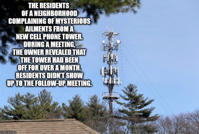 Interesting Facts (40 pics)