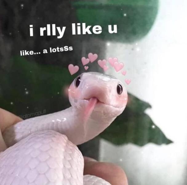Flirt Memes (31 pics)