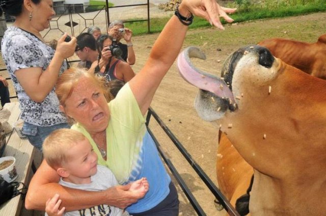 Acid Picdump. Part 2 (100 pics)
