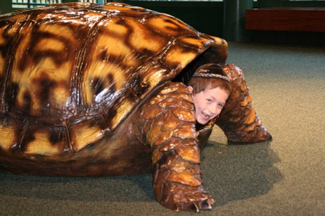 Acid Picdump. Part 2 (100 pics)