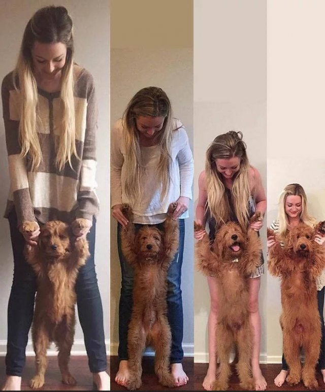 Acid Picdump. Part 2 (100 pics)