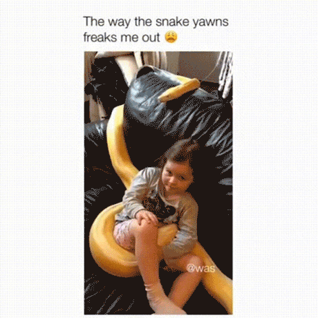 Snakes Can Be Friends (43 pics)