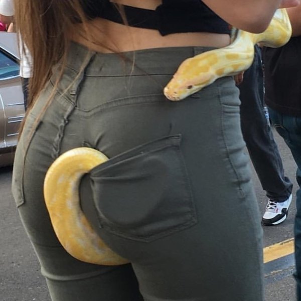 Snakes Can Be Friends (43 pics)