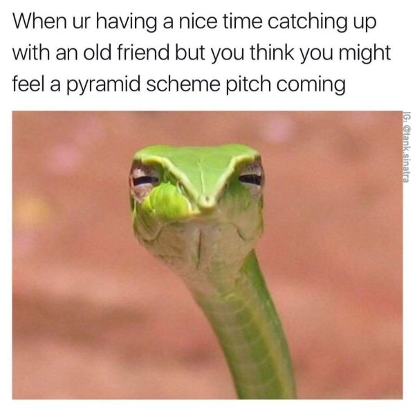 Snakes Can Be Friends (43 pics)