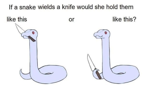 Snakes Can Be Friends (43 pics)