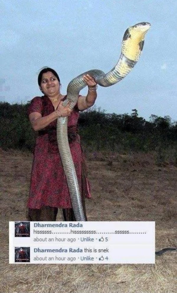 Snakes Can Be Friends (43 pics)